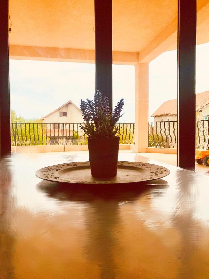 Năvodari Breeze Villa Mamaia Nord מראה חיצוני תמונה
